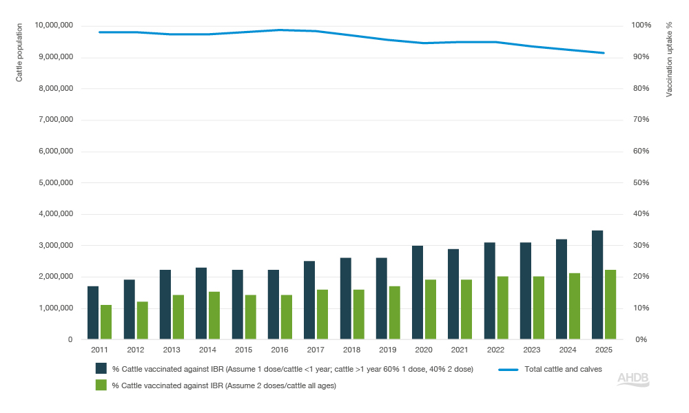 Bar and line chart showing IBR vaccination between 2012–2025.